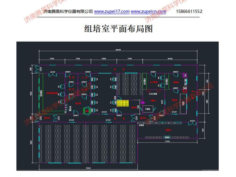 粉色APP导航官网入口室