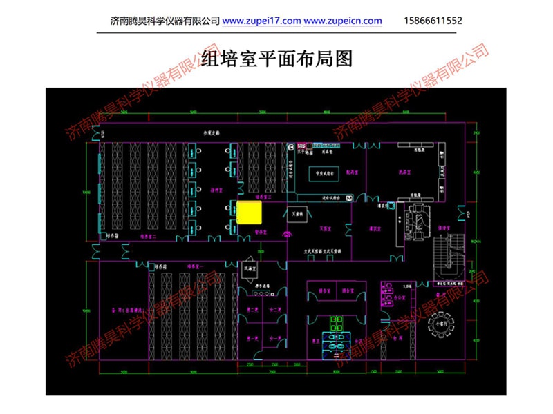 粉色APP导航官网入口室