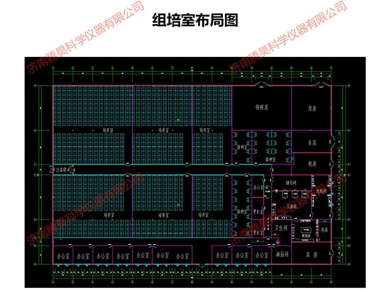 粉色APP导航官网入口室