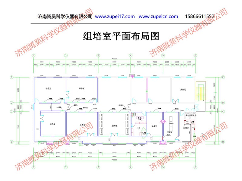 粉色APP导航官网入口室