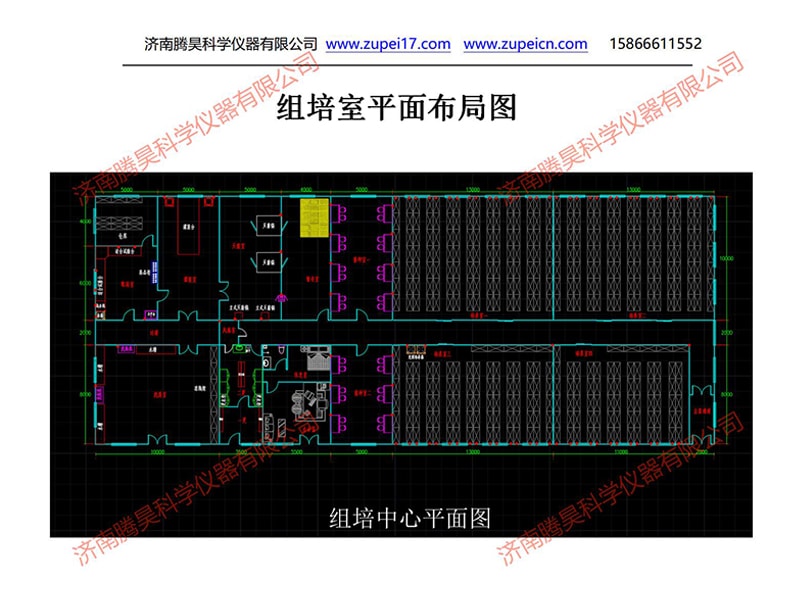 粉色APP导航官网入口  粉色APP导航官网入口室