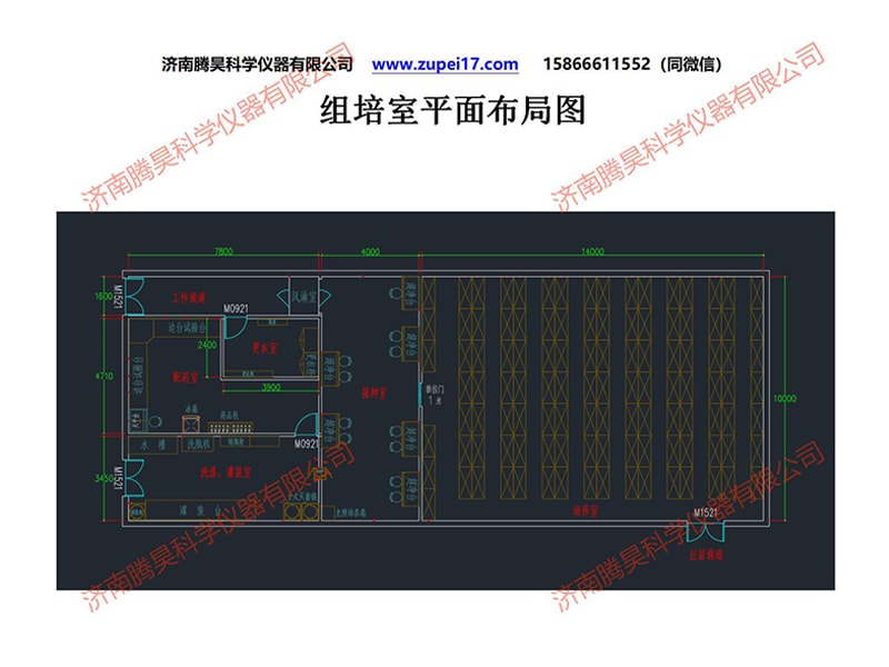 粉色APP导航官网入口室