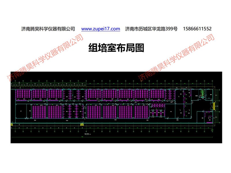 粉色APP导航官网入口  粉色APP导航官网入口室