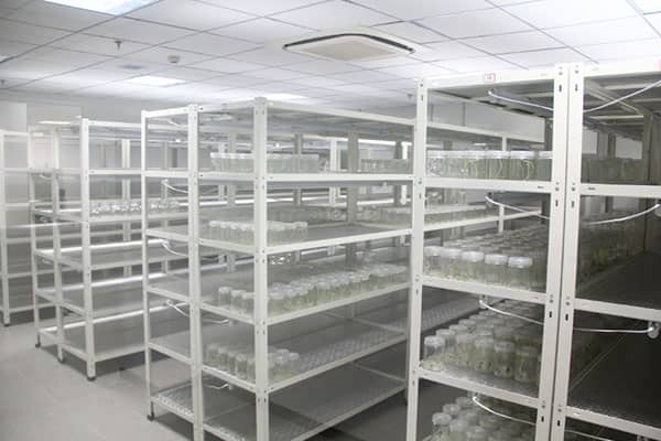 粉色APP导航官网入口架