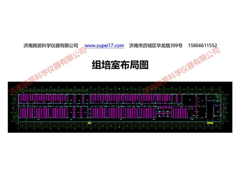 粉色APP导航官网入口室