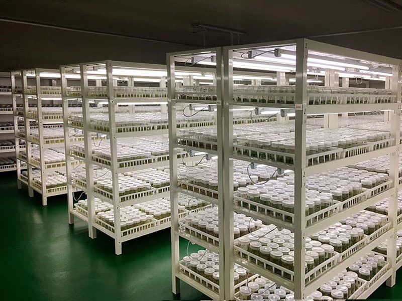 粉色APP导航官网入口  粉色APP导航官网入口架