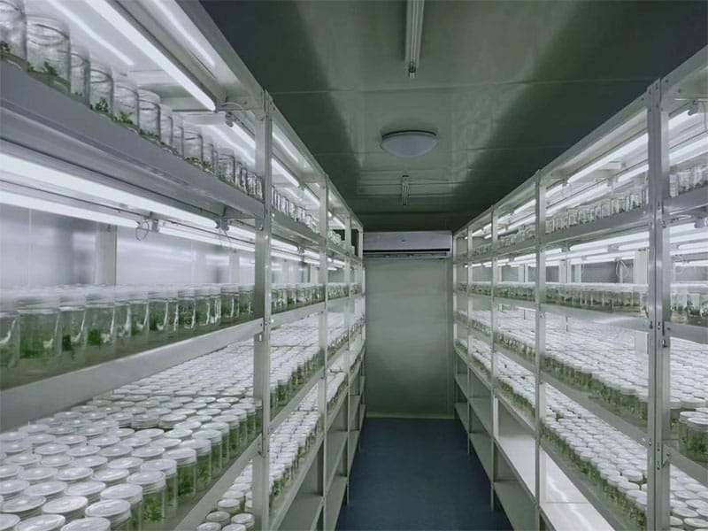 粉色APP导航官网入口  粉色APP导航官网入口架