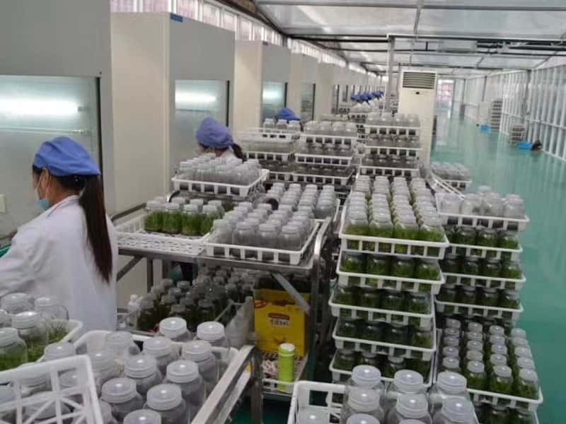 粉色APP导航官网入口设备