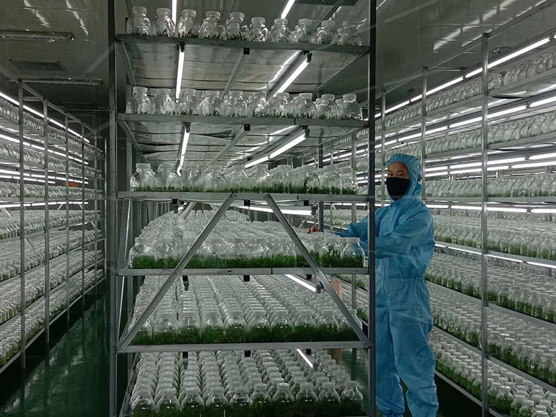 粉色APP导航官网入口  粉色APP导航官网入口架