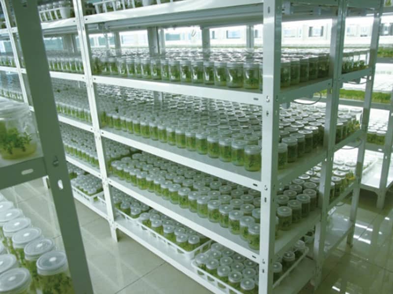 粉色APP导航官网入口  粉色APP导航官网入口架