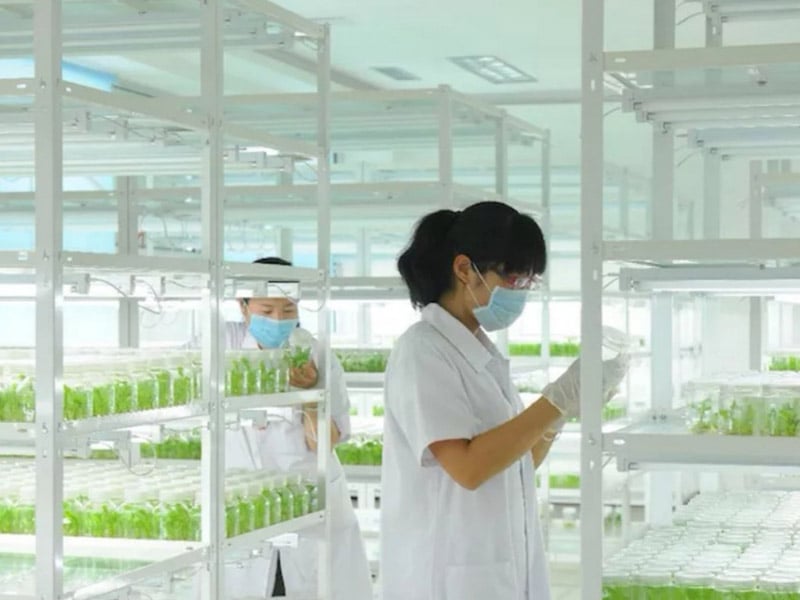 粉色APP导航官网入口  粉色APP导航官网入口架