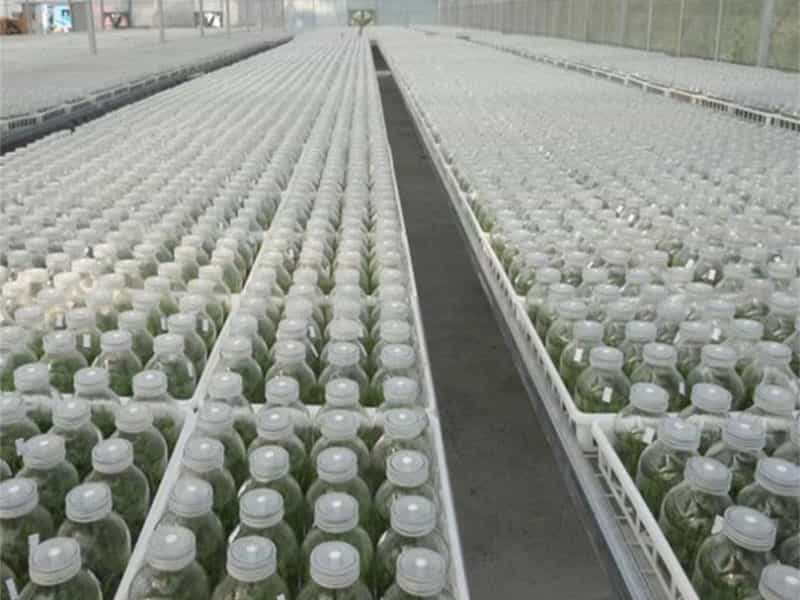 粉色APP导航官网入口  粉色APP导航官网入口瓶
