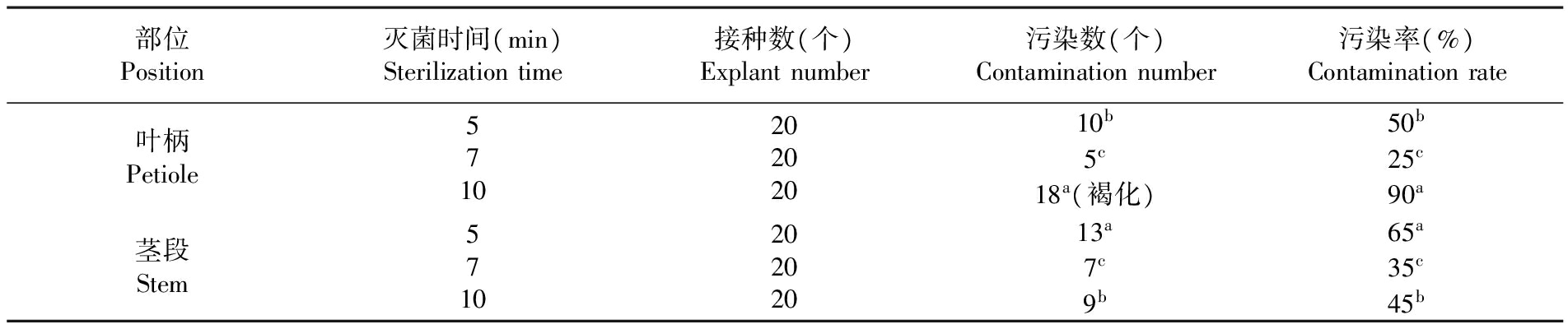 植物粉色APP导航官网入口设备