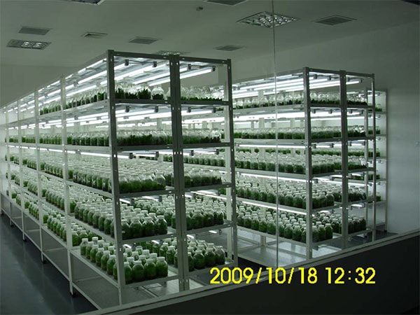 粉色APP导航官网入口室设计