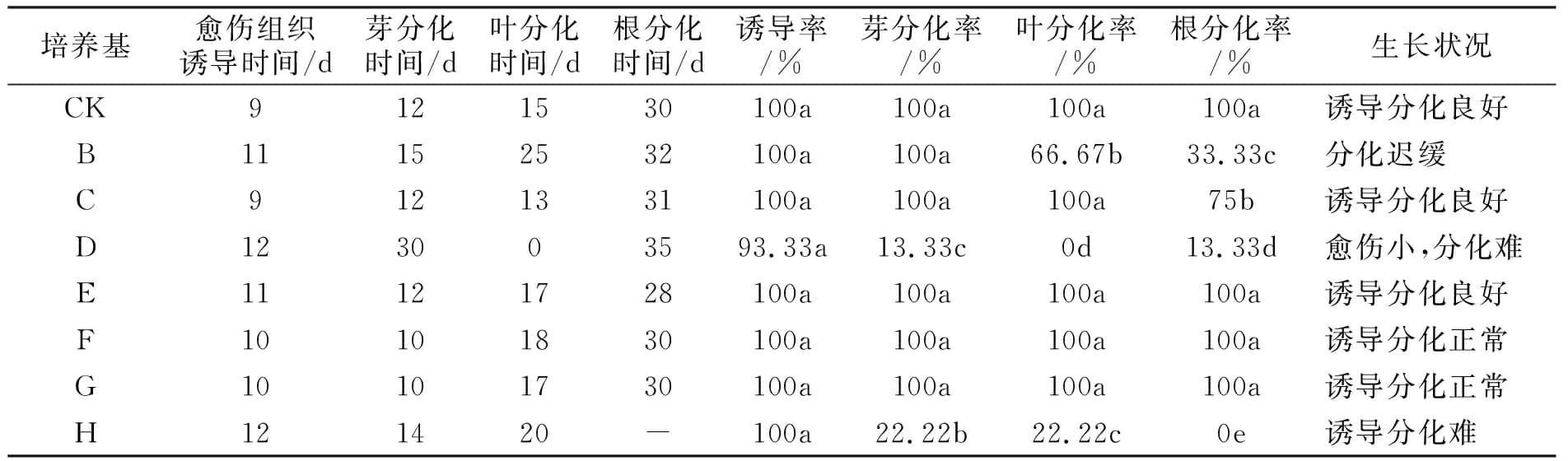 粉色APP导航官网入口设计图