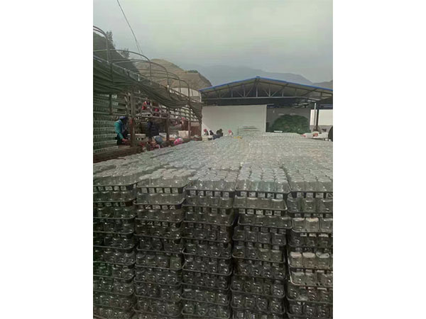 粉色APP导航官网入口室设计