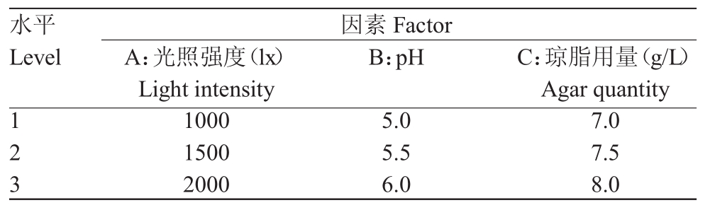 粉色APP导航官网入口室设计