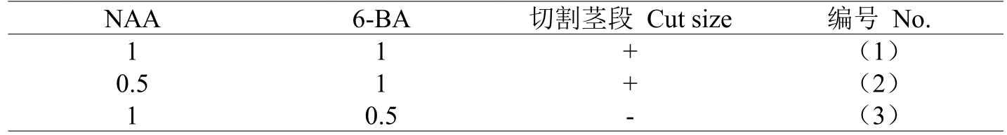 粉色APP导航官网入口室设计