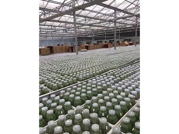 粉色APP导航官网入口设备