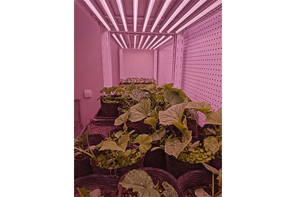 粉色APP导航官网入口