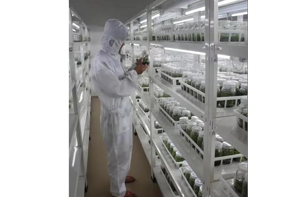 粉色APP导航官网入口