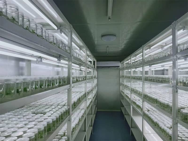 粉色APP导航官网入口  粉色APP导航官网入口架