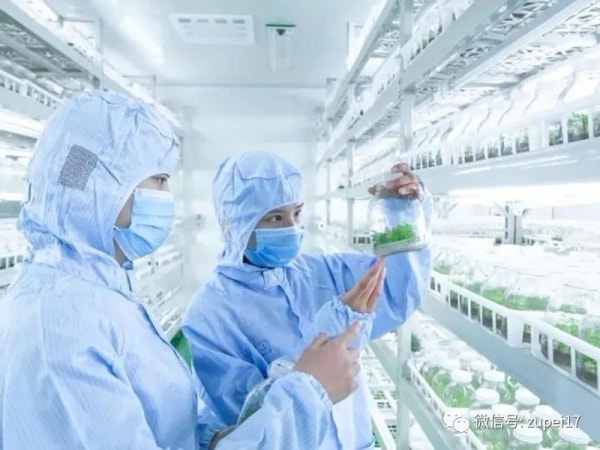 粉色APP导航官网入口室建设