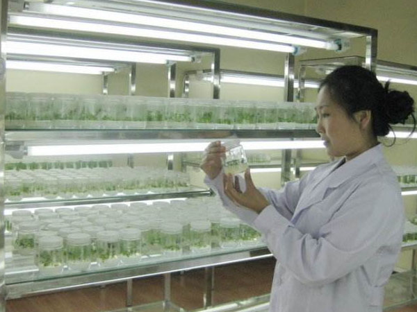 粉色APP导航官网入口