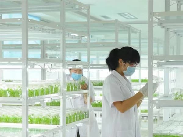粉色APP导航官网入口