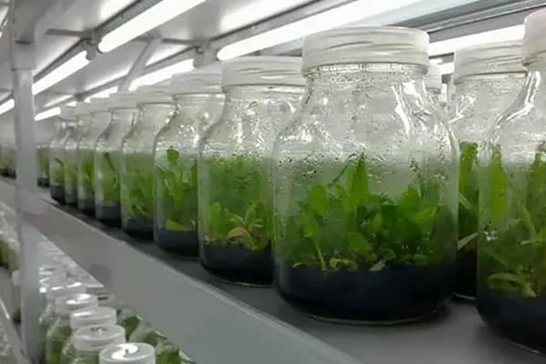 粉色APP导航官网入口设备
