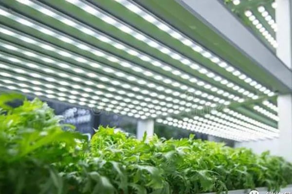 粉色APP导航官网入口室建设