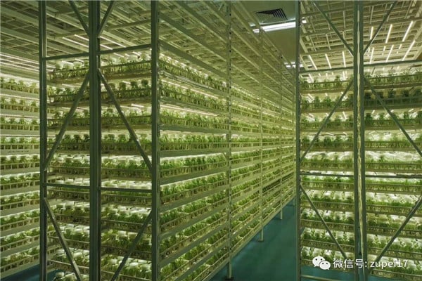 粉色APP导航官网入口仪器设备