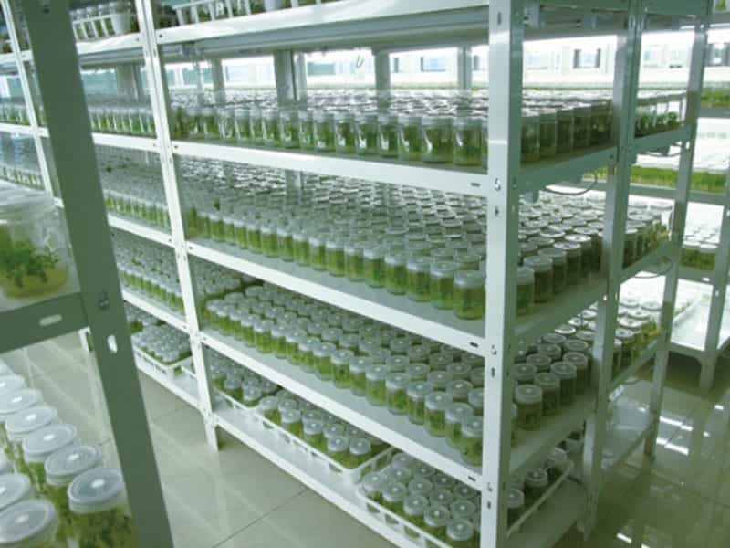 粉色APP导航官网入口  粉色APP导航官网入口设备