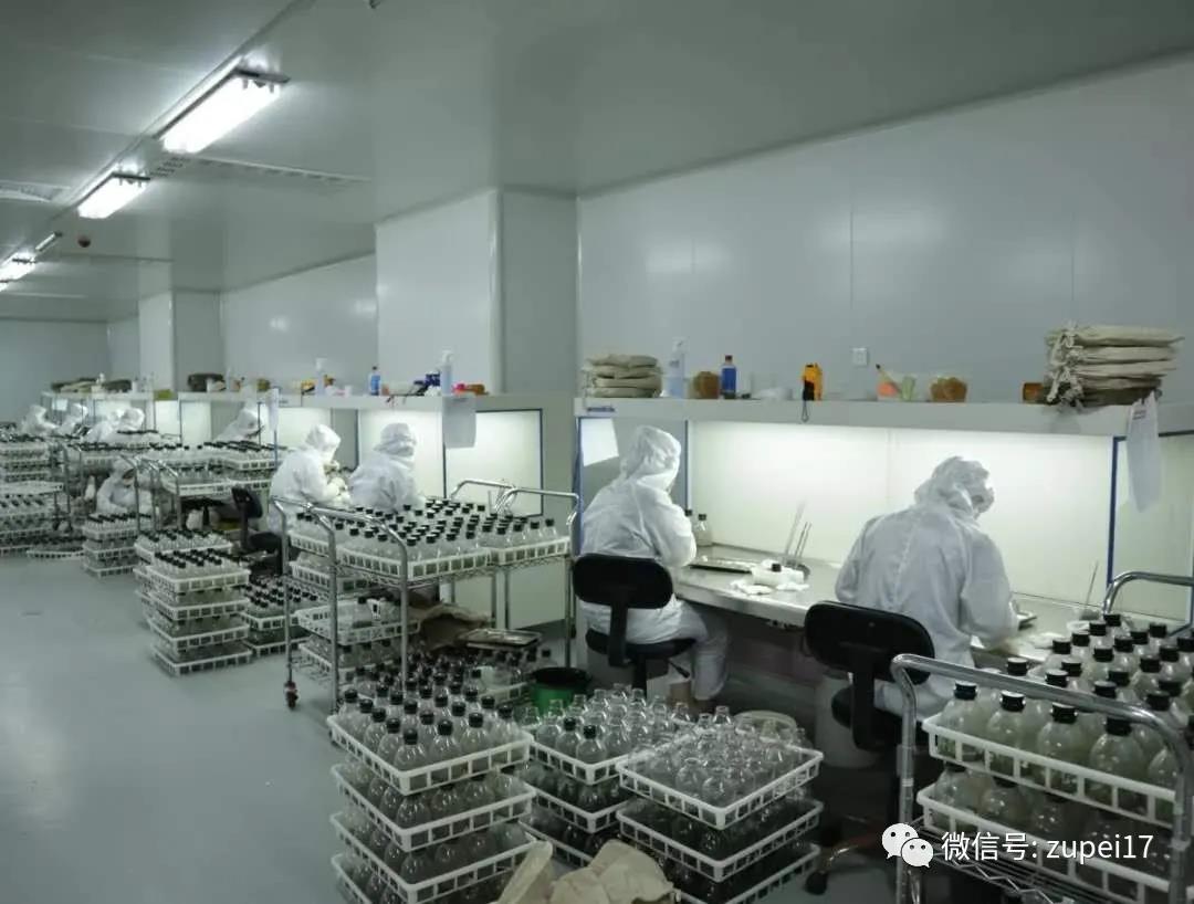粉色APP导航官网入口