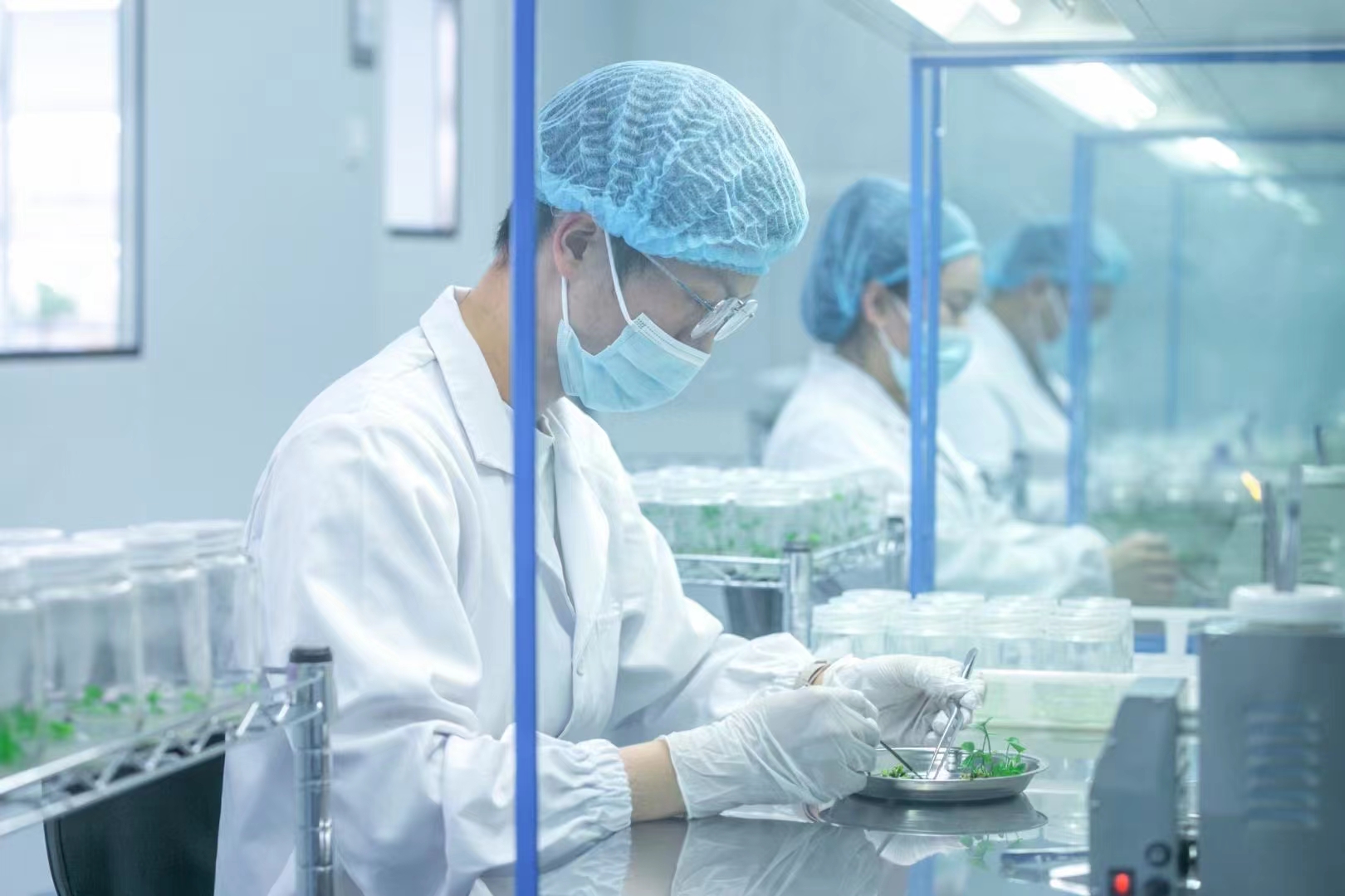 灭菌器  粉色APP导航官网入口灭菌锅  高压灭菌设备